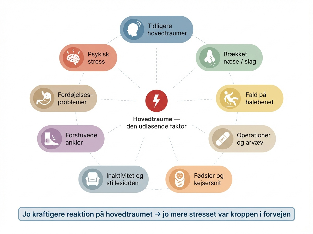 Faktorer der bidrager til kronisk hjernerystelse